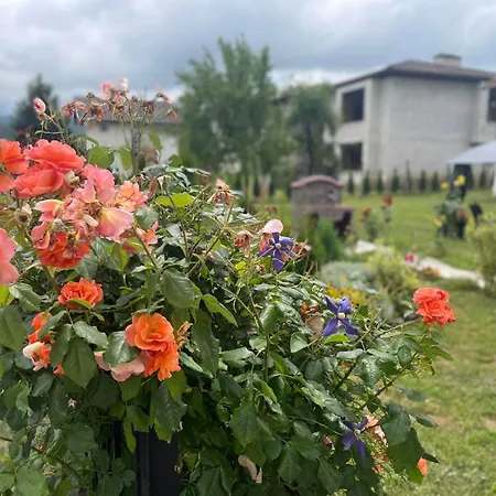 Tatil Evi Mirela